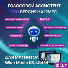 Голосовой ассистент (лицензионный ключ) для магнитол WM KS, LC, KS-MAX (10шт)