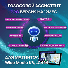 Голосовой ассистент (лицензионный ключ) для магнитол WM KS, LC, KS-MAX
