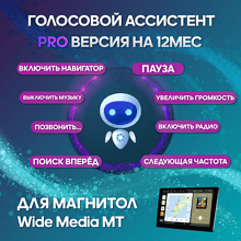 Голосовой ассистент (лицензионный ключ) для магнитол WM MT